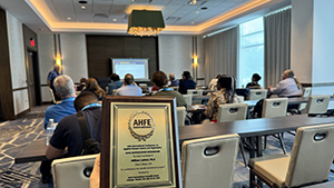 AHFE 2025